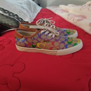Citysole skate Coach shoes in rainbow